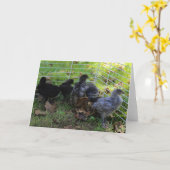 ある何が-鶏のお尻 カード (黄色い花)