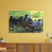 ある何が-鶏のお尻 キャンバスプリント (インサイチュ (リビング))