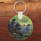 ある何が-鶏のお尻 キーホルダー (正面)