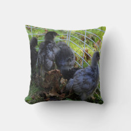 ある何が-鶏のお尻 クッション