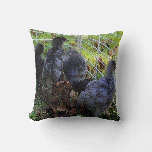 ある何が-鶏のお尻 クッション (正面)