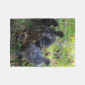 ある何が-鶏のお尻 フリースブランケット (正面(横))