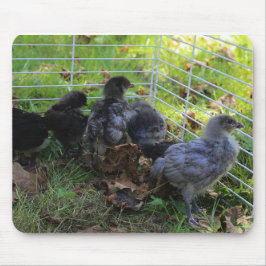 ある何が-鶏のお尻 マウスパッド
