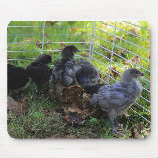 ある何が-鶏のお尻 マウスパッド (正面)