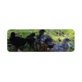 ある何が-鶏のお尻 ラベル