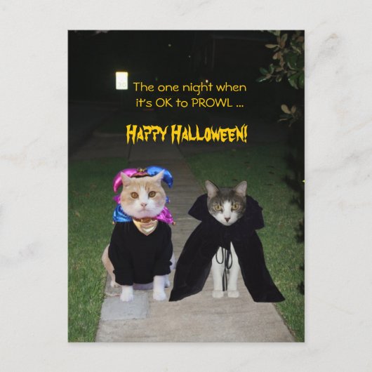 ある夜ふらふら歩いても良い ポストカード (正面)