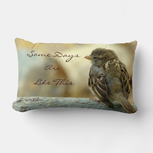 ある日はこれのデザイナー枕のようです ランバークッション (正面)