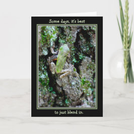 ある日、それは最も最高のちょうどそれを混ぜるためにです カード