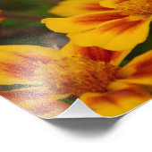 ある秋の午後の庭で。 フォトプリント            (角)