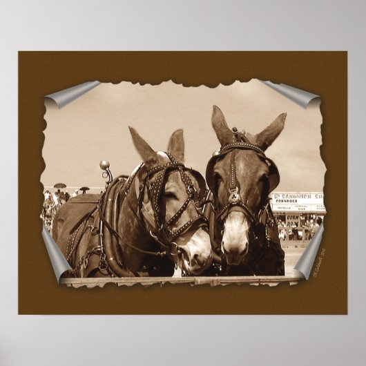 ある種の2人 ポスター (正面)