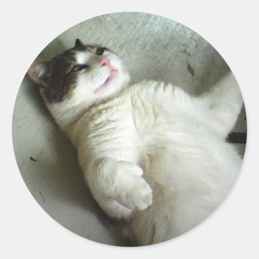 あるFATBOYステッカー ラウンドシール (正面)