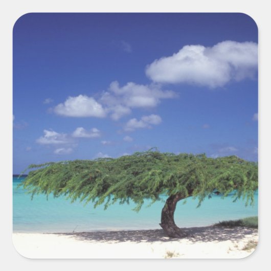 あカリブのる。イーグルビーチ スクエアシール (正面)