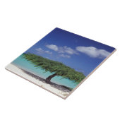 あカリブのる。イーグルビーチ タイル (側面)