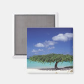 あカリブのる。イーグルビーチ マグネット (正面/裏面)