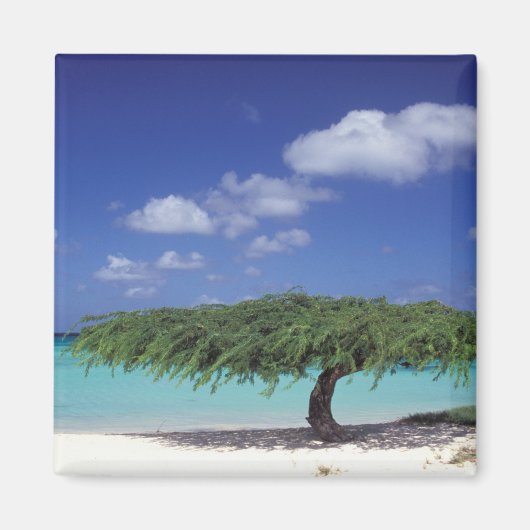 あカリブのる。イーグルビーチ マグネット (正面)