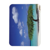 あカリブのる。イーグルビーチ マグネット (縦)