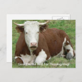 『あ与えたし、感謝祭の牛のはがきに鳥を』 シーズンポストカード (正面/裏面)
