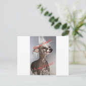 あ中国のあ汚くてカワイイ ポストカード (スタンド正面)