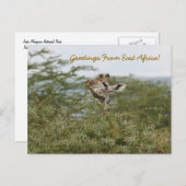 あ得あ！-ポストカード ポストカード (正面/裏面)