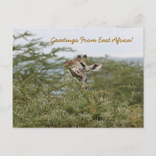 あ得あ！-ポストカード ポストカード (正面)