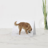 あ恋しく思あなたは、私は演技風変わり – 西部 カード (正面)