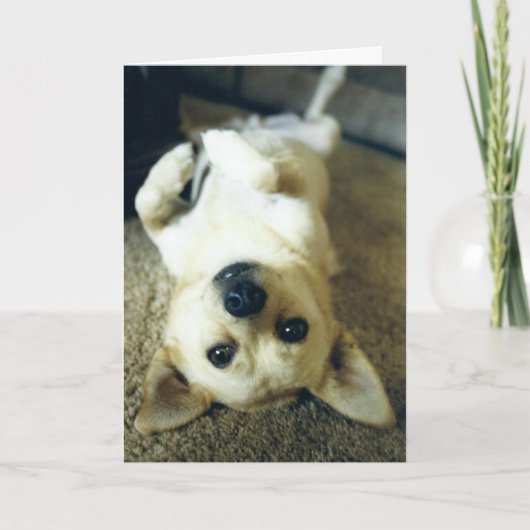 あ恋しく思なたの挨拶状 カード (正面)