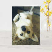 あ恋しく思なたの挨拶状 カード (黄色い花)