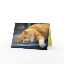 あ感じあの痛み感じがオレンジ