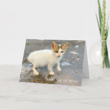 あ空白のりがとうニャー！サンキューカード