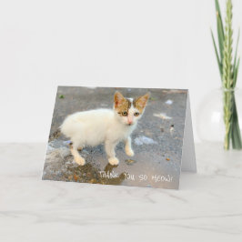 あ空白のりがとうニャー！サンキューカード サンキューカード