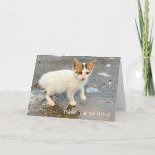 あ空白のりがとうニャー！サンキューカード サンキューカード