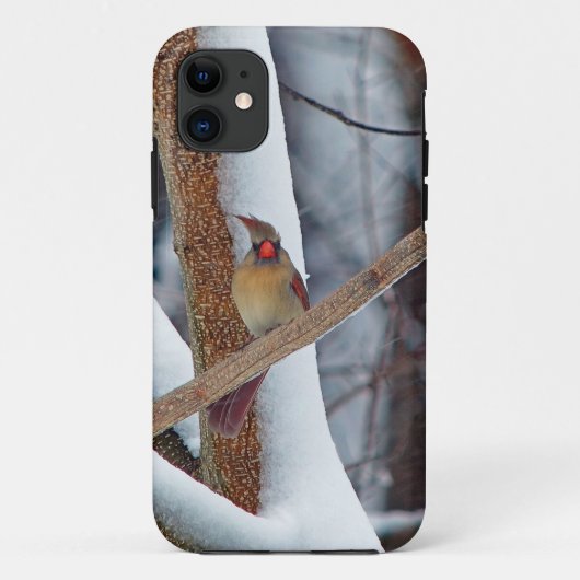 あ素晴らしあ、髪を結んだだけだ! Case-Mate iPhoneケース (裏面)
