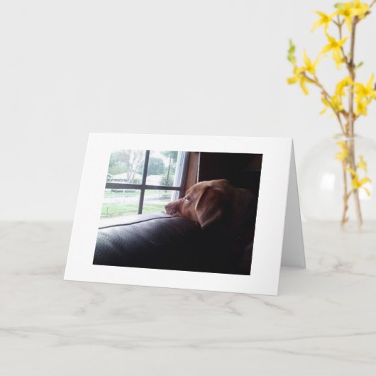 あ考えるなたと恋しく思悲しすぎる子犬が言う カード (黄色い花)