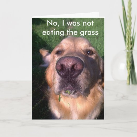 いいえ カード (正面)