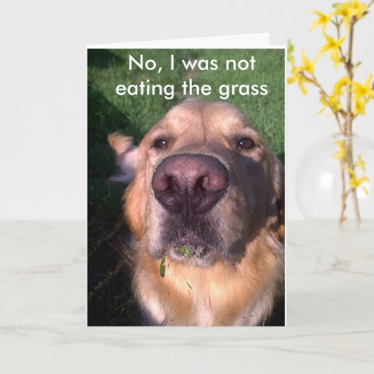 いいえ カード (黄色い花)