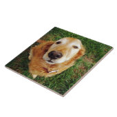 いい子は誰だ？ タイル (側面)