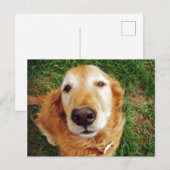 いい子は誰だ？ ポストカード (正面/裏面)