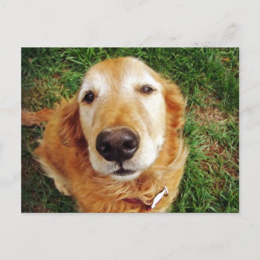 いい子は誰だ？ ポストカード (正面)