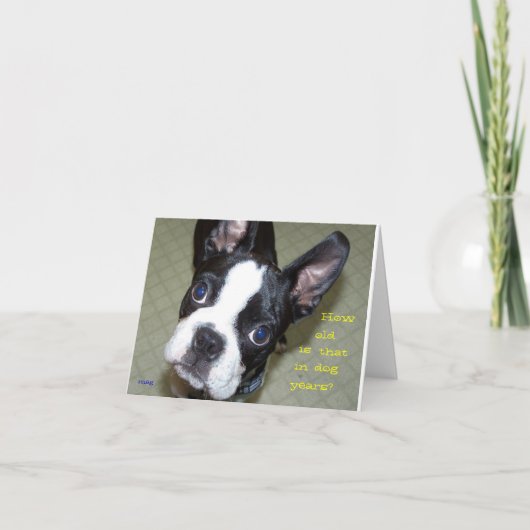 いかに犬年に古いか。 カード (正面)