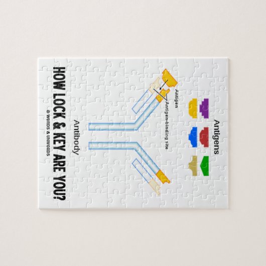 いかに締めれば鍵はですか。 (抗原の抗体) ジグソーパズル (横)