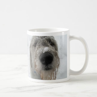 いかにDoinか。 マグ