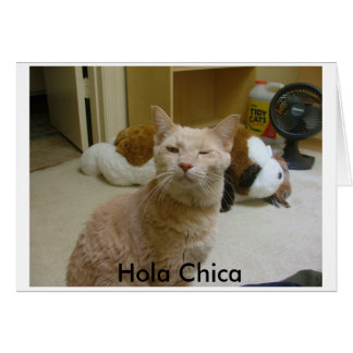 いかにdoinか。、Hola Chica