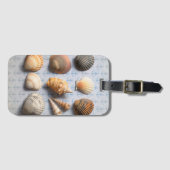 いかりの背景幕の貝殻 ラゲッジタグ (正面横)