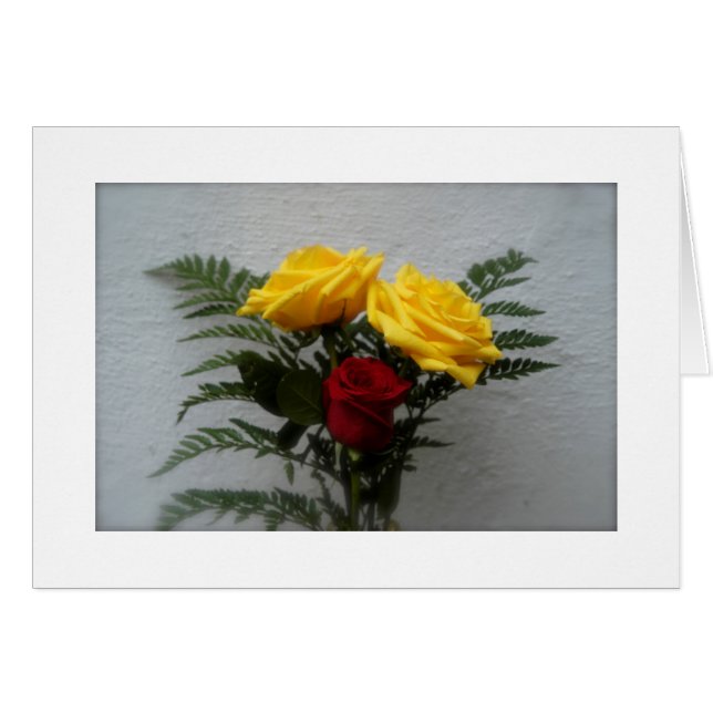 (いくつかの)バラは赤いです (正面横)