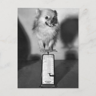 いくら重いか ポストカード