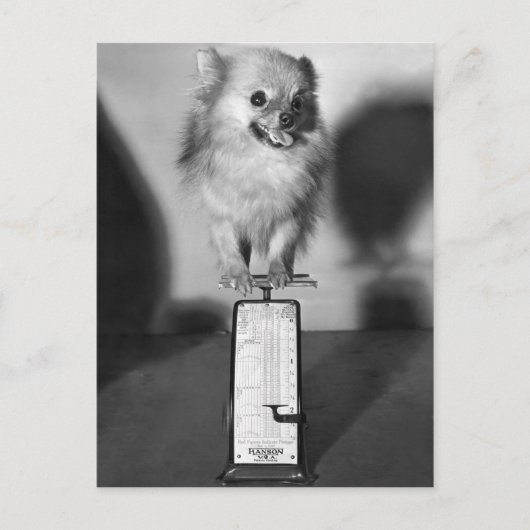 いくら重いか ポストカード (正面)