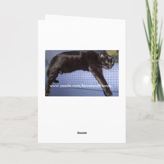 いけないですかニースの黒猫のスパイのクリスマスカード シーズンカード (裏面)