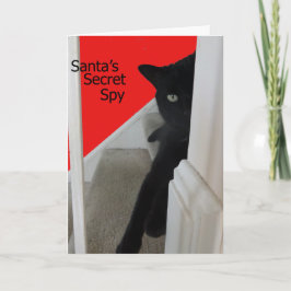 いけないですかニースの黒猫のスパイのクリスマスカード シーズンカード