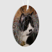 いけないタキシードの子猫のクリスマス オーナメント (正面)