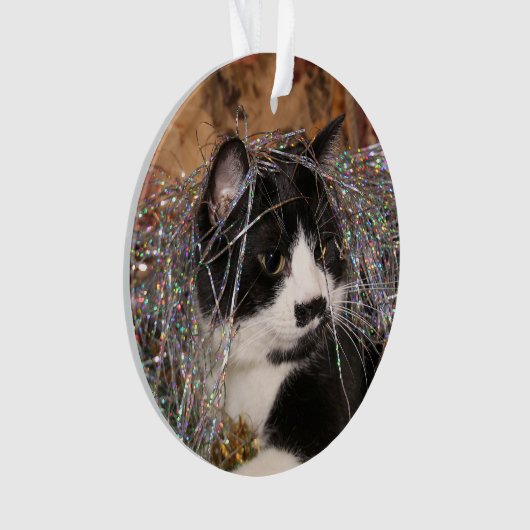 いけないタキシードの子猫のクリスマス オーナメント (正面)